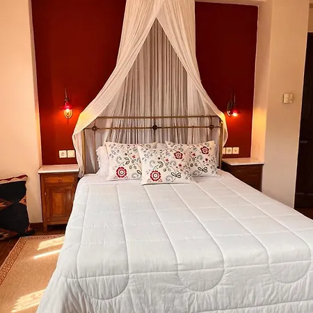 Filokalia 3*