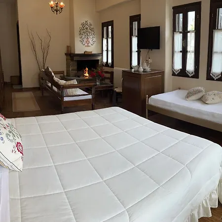 Pensionat Filokalia 3*
